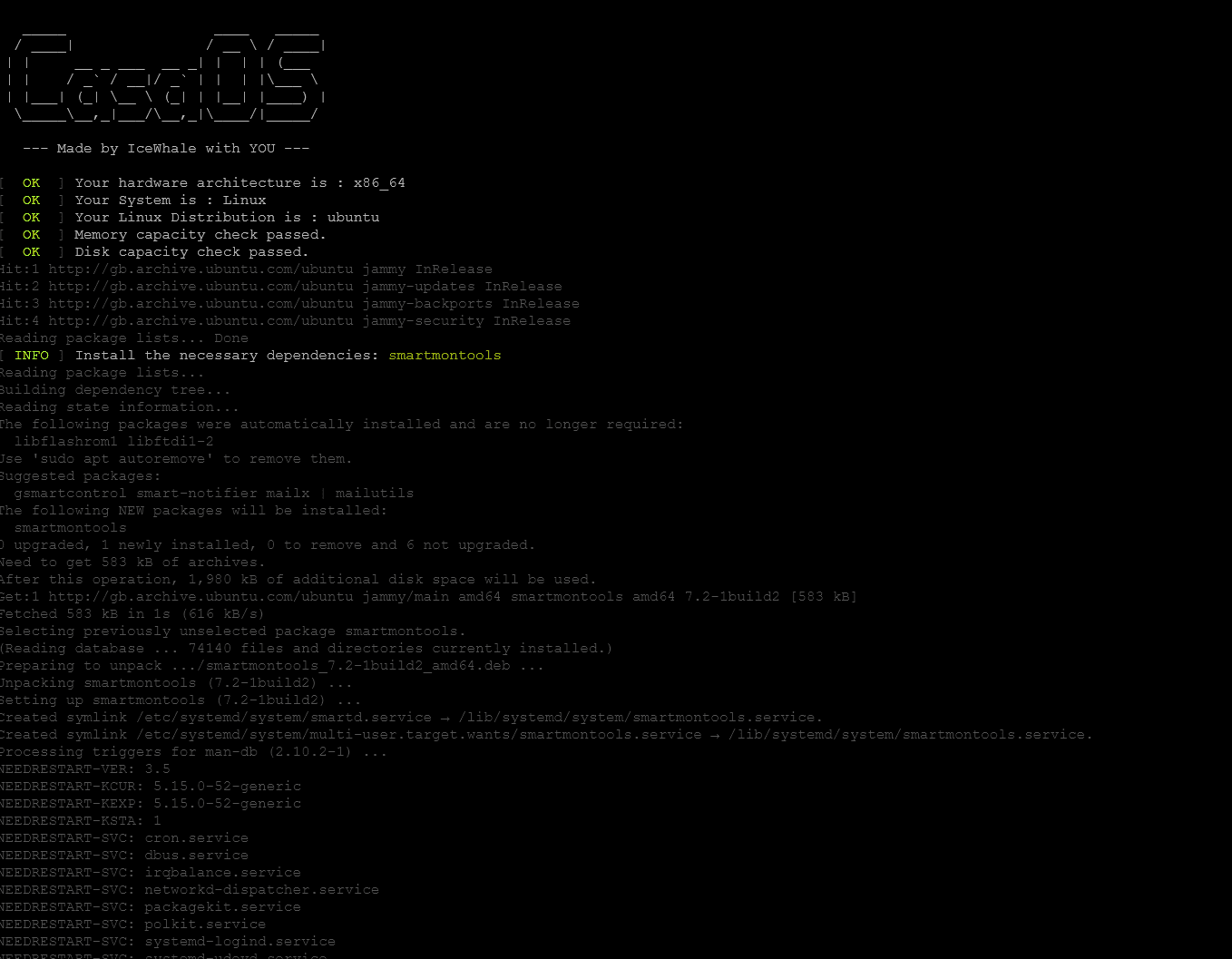 Running the CasaOS installation script