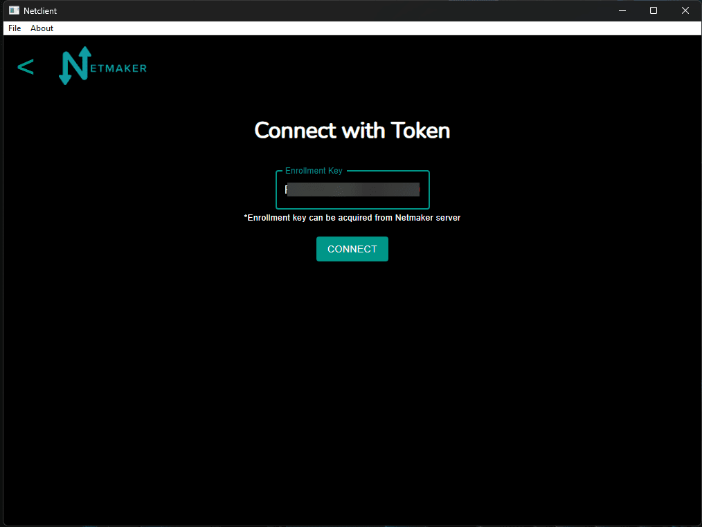 Connect with the enrollment token