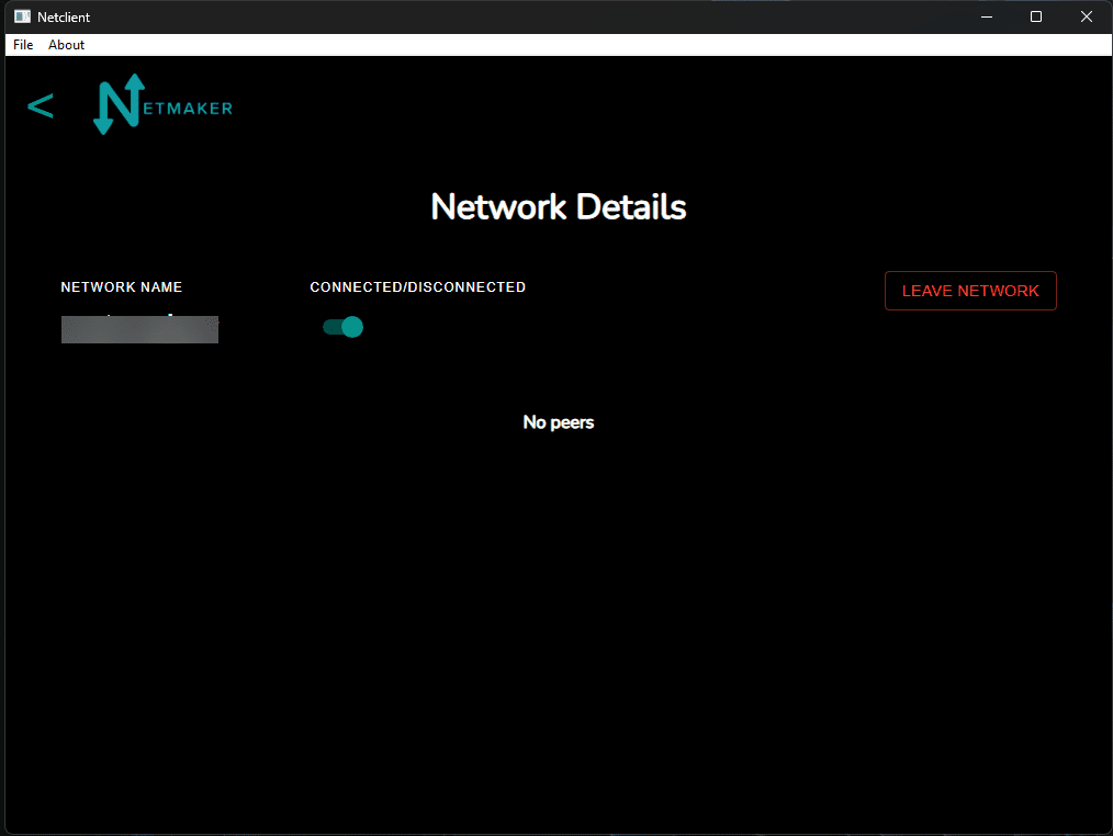Connected to the network in netmaker