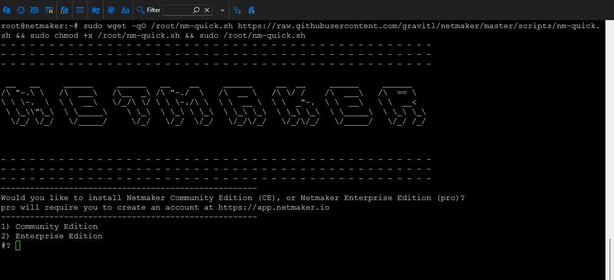 Running the netmaker self hosted install script in ubuntu server