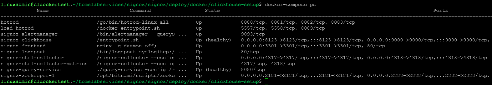 Viewing the docker compose status after deploying