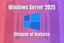 Windows server 2025