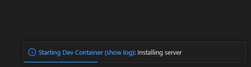 Starting the dev container in vs code