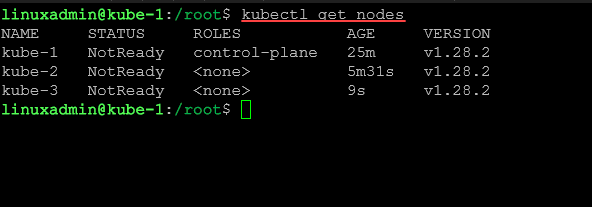 Getting the kubernetes nodes