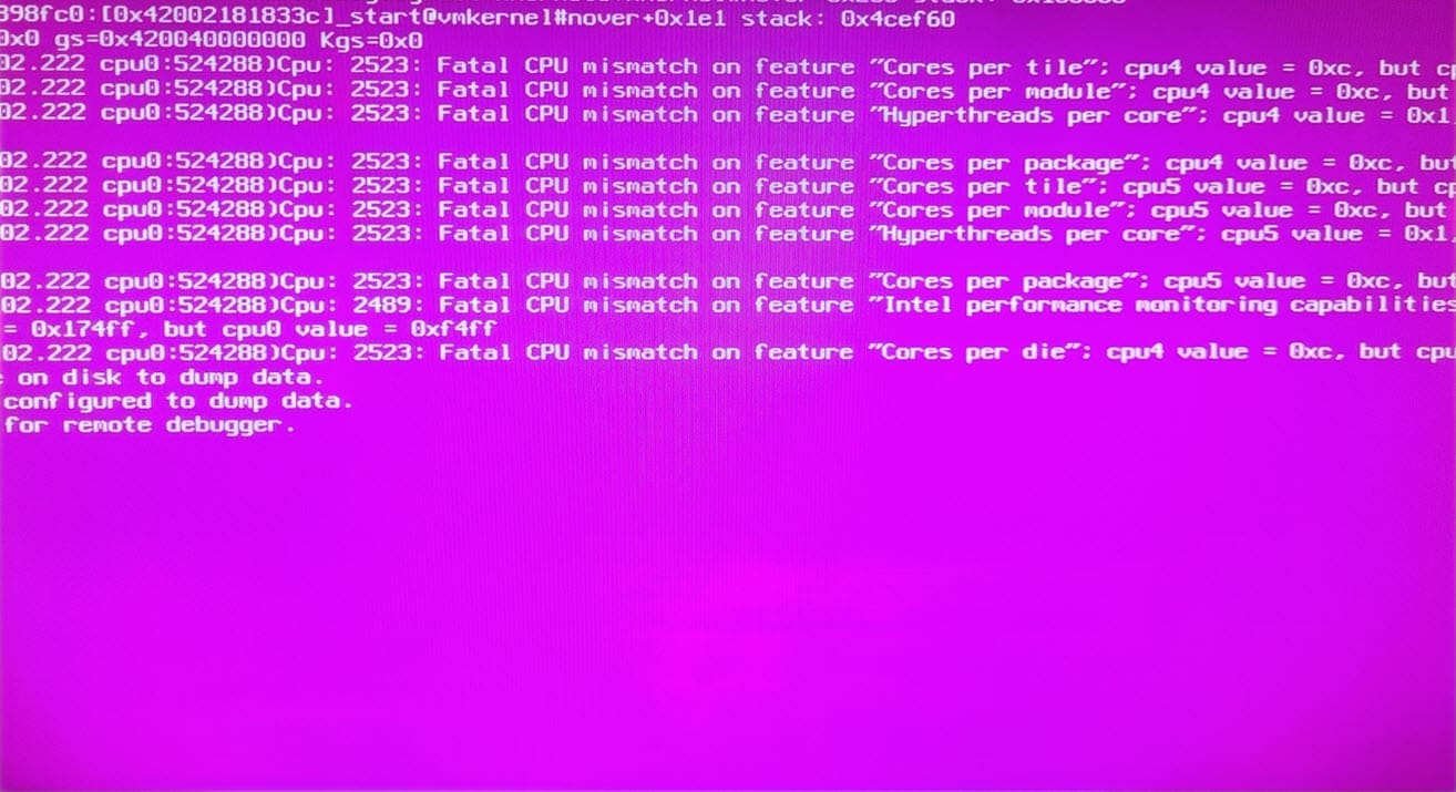 Purple screen of death due to the e cores and p cores on the alder lake processor