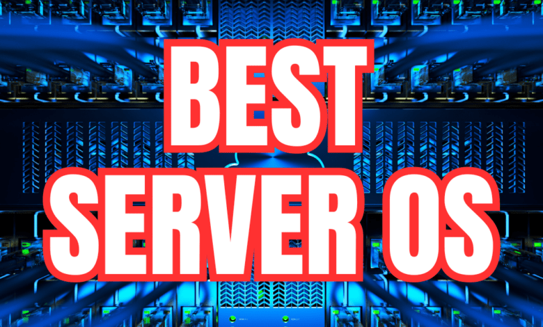 Best server os in 2024