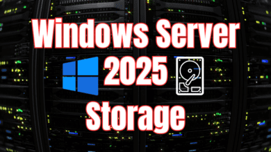 Windows server 2025 storage