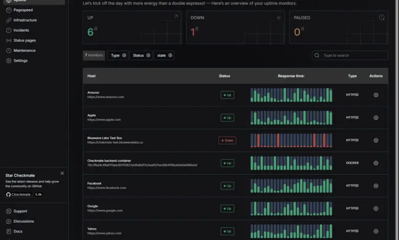 Monitors configured in checkmate for uptime