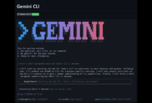Google gemini cli