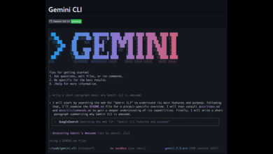 Google gemini cli