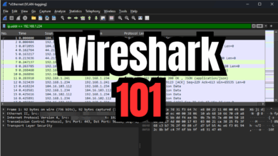 Wireshark beginners guide