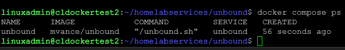 Ubound dns container