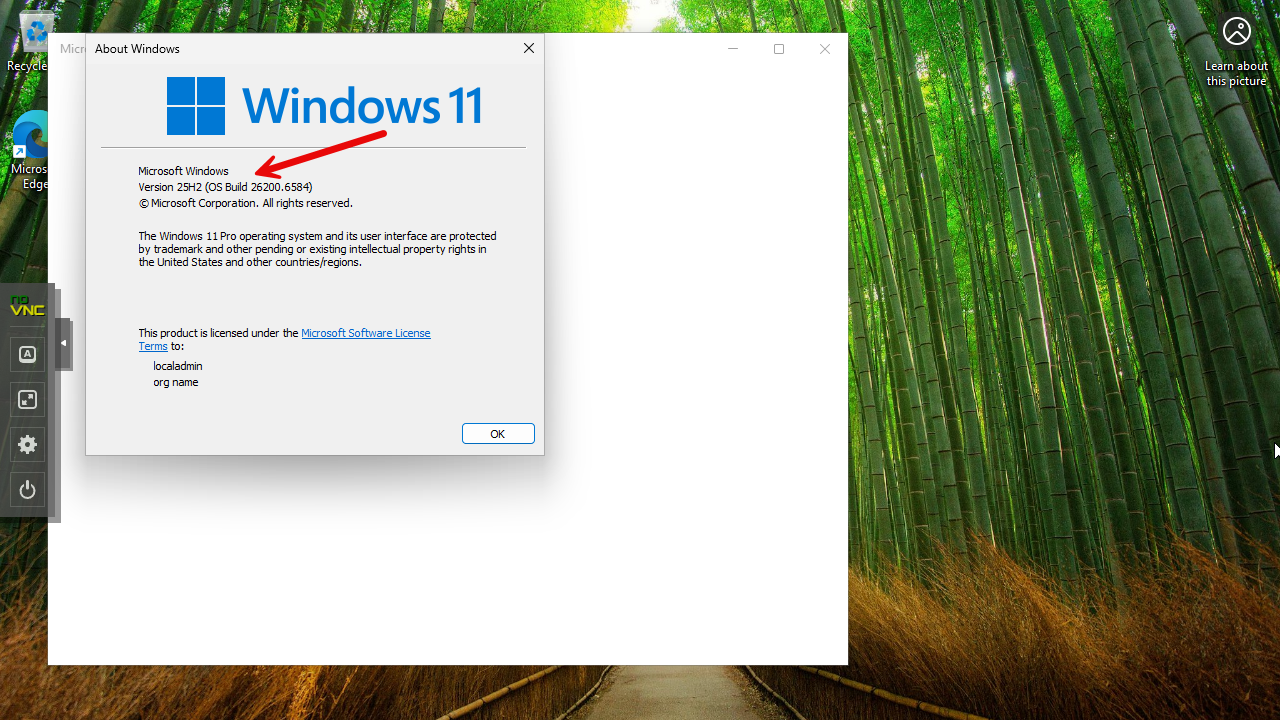 Windows 11 25h2 download iso