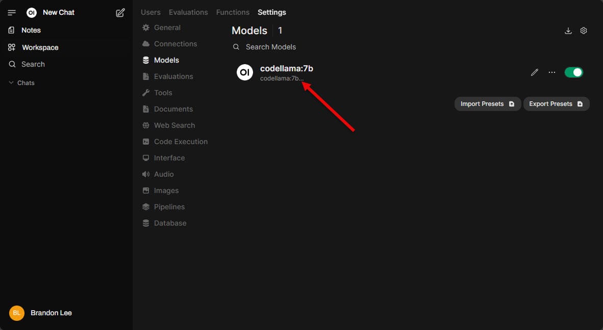 Downloading models in openwebui