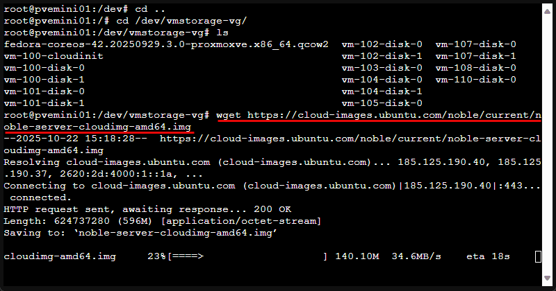 Pulling down the latest ubuntu cloud image for ubuntu 24.04