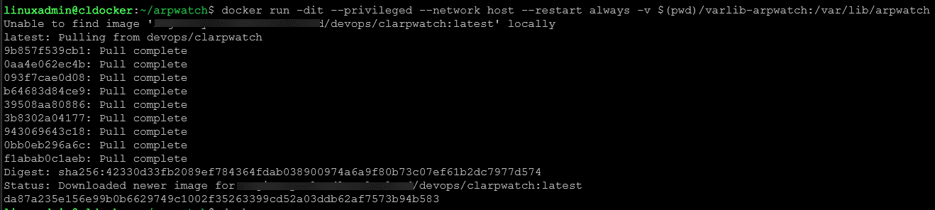 Running an arpwatch docker container in the home lab