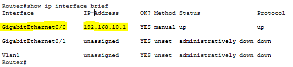 Show ip interface brief for interfaces