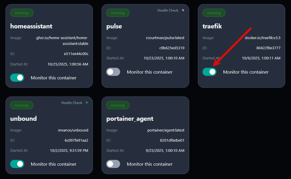 Toggling on monitoring for containers