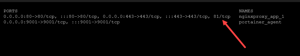 Viewing an exposed port for a docker container