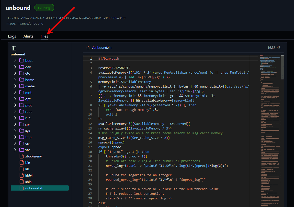Viewing files view of your containers in logforge