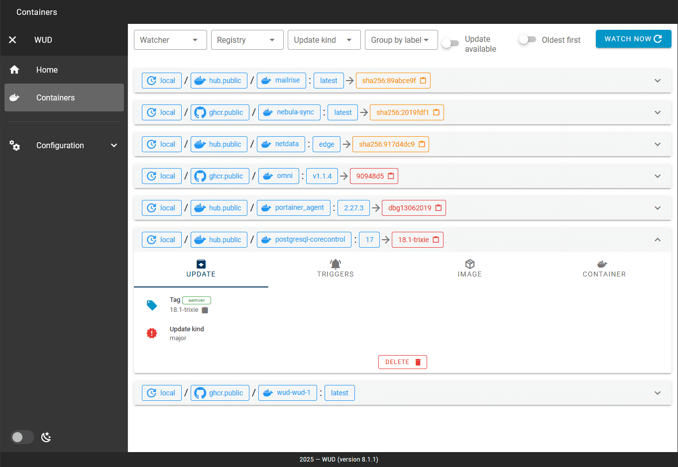 Viewing available updates for containers