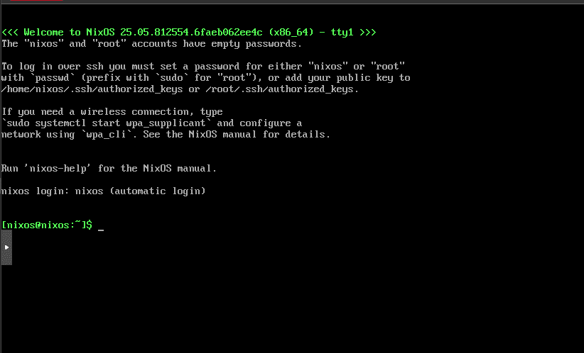 Booted into nixos for the first time