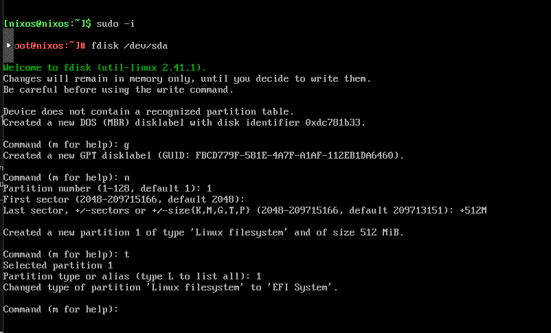 Creating the efi storage for the new nixos install