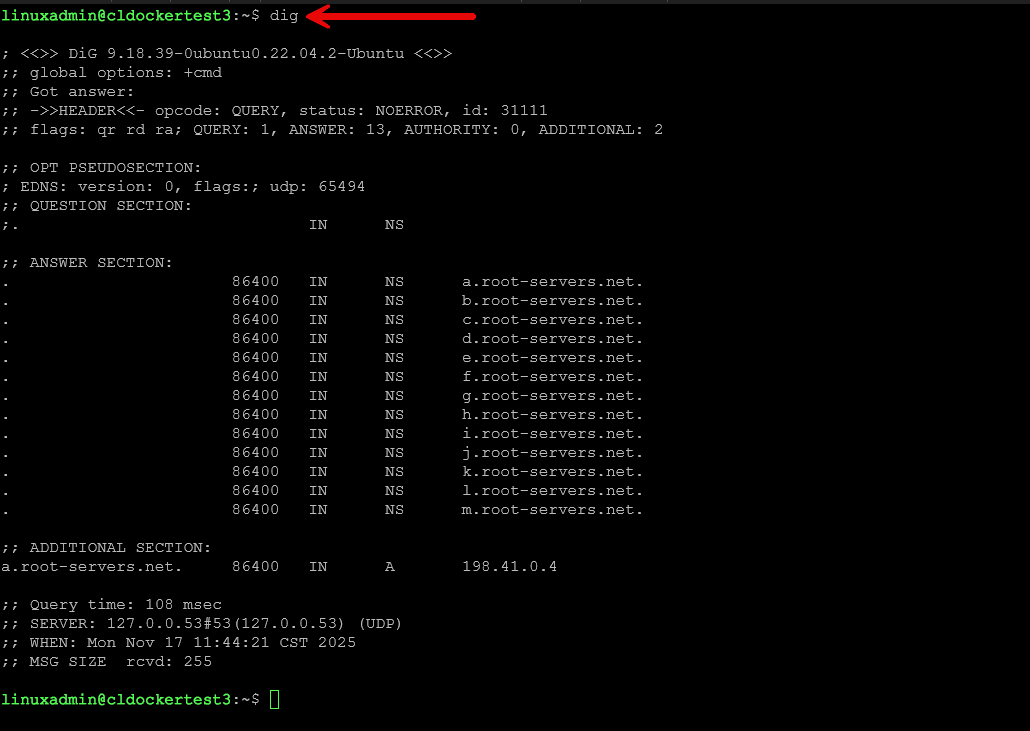 Dig linux networking command