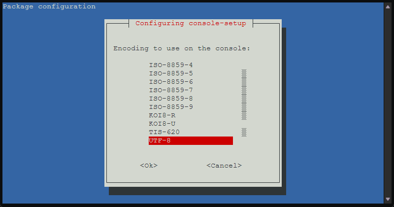 Encoding to use screen during the proxmox 9.1 upgrade