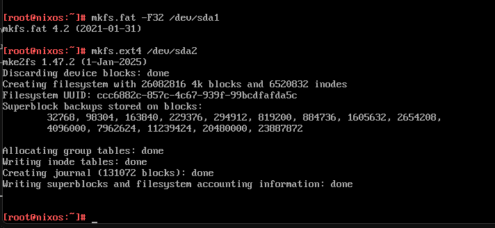 Formatting the storage configuration in nixos
