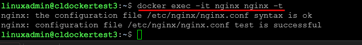 Getting nginx configuration using the nginx troubleshooting command