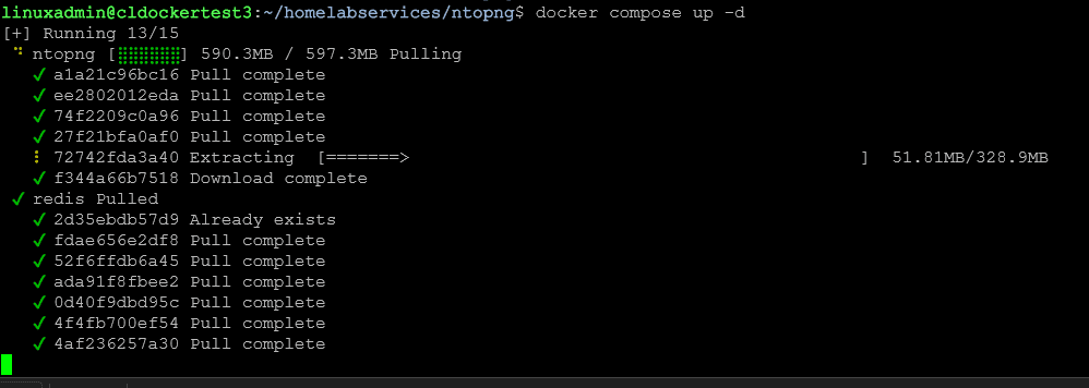 Pulling the docker container for ntopng