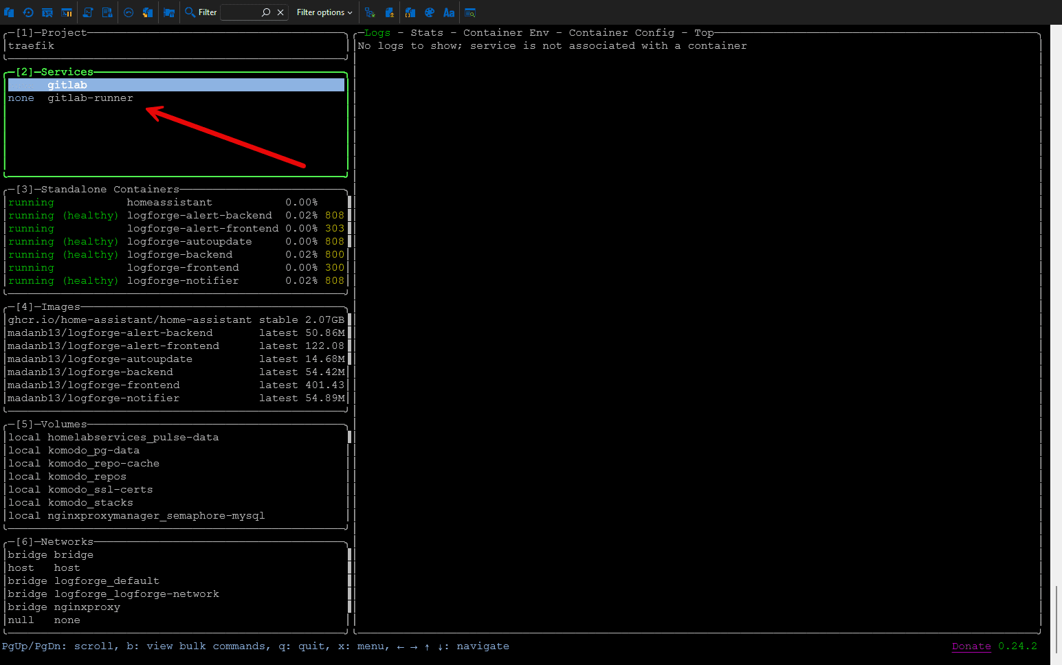 Showing services in lazydocker