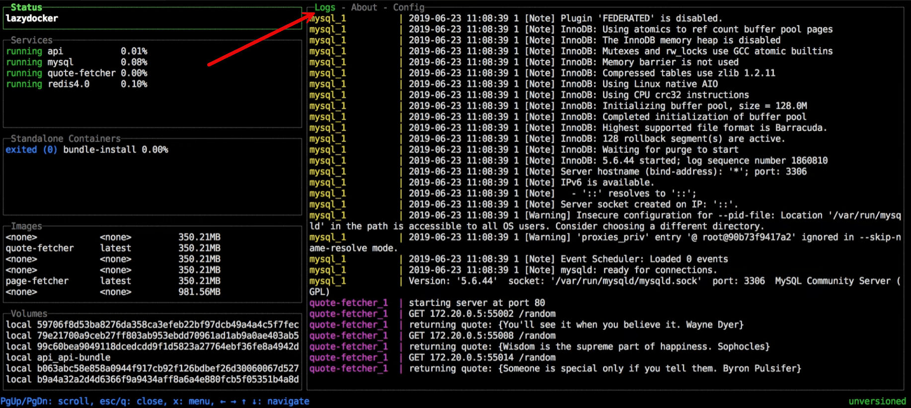 Viewing logs in lazydocker