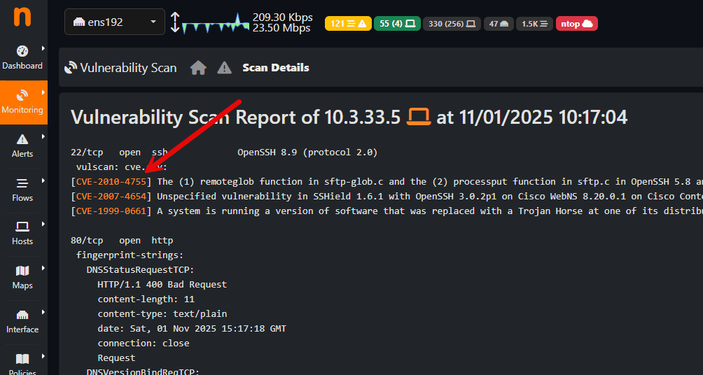 Viewing the results of vulnerability scans in ntopng