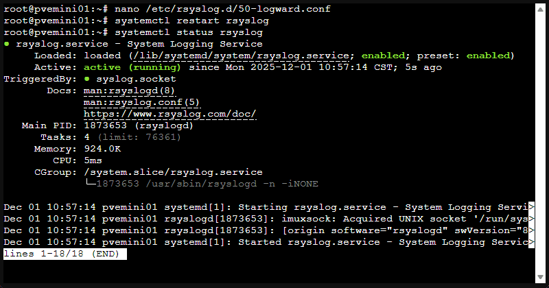 Creating the rsyslog configuration and restarting the service in proxmox