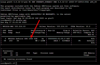 NVIDIA geforce 1060 with 6GB of VRAM running in Proxmox