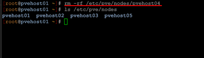 removing the directory for the node