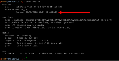 viewing slow alert in ceph
